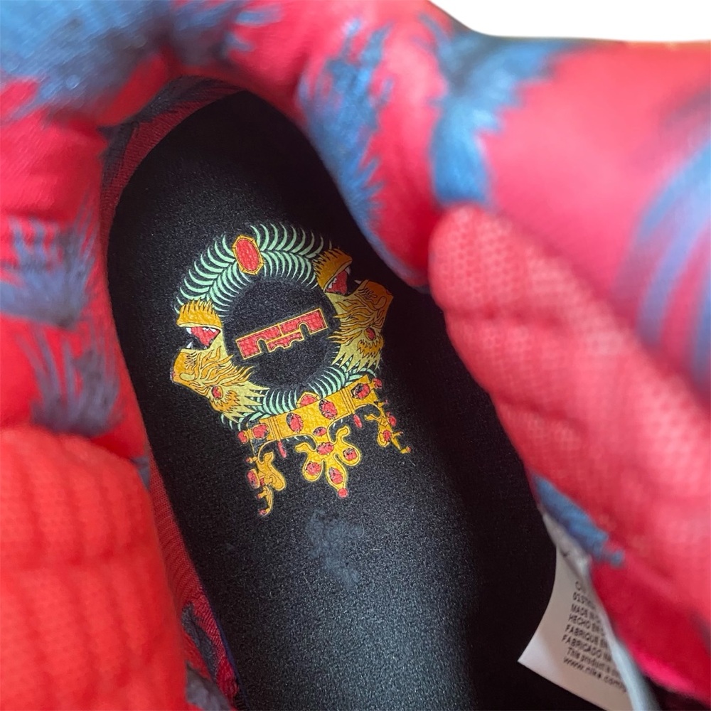 NIKE LEBRON 9 SOUTH COAST - Picture 7 of 7